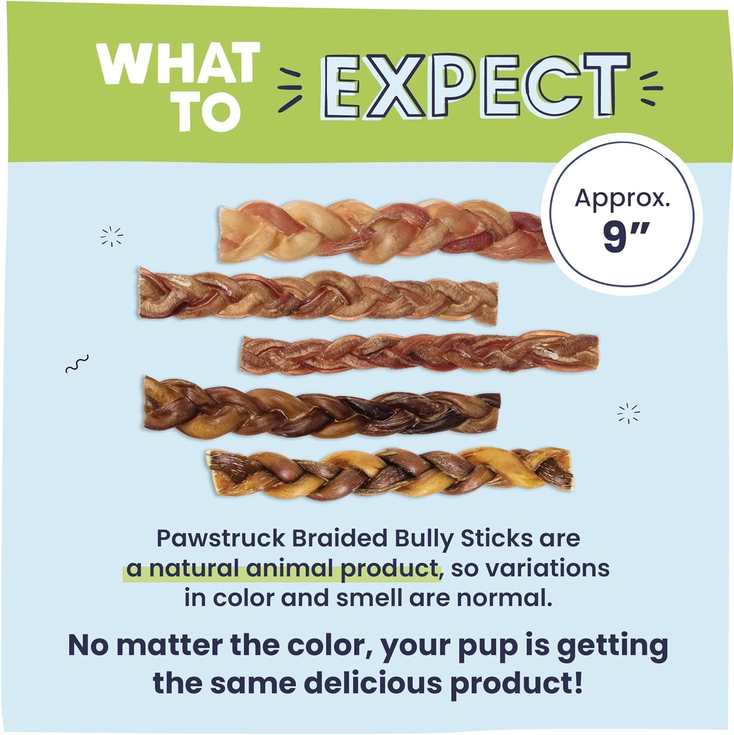 Natural 9” Braided Bully Sticks for Dogs - Tough, Long-Lasting, Rawhide-Free, Low Odor, Healthy Single Ingredient Chew Treat for Aggressive Chewers - 10 Count - Packaging May Vary