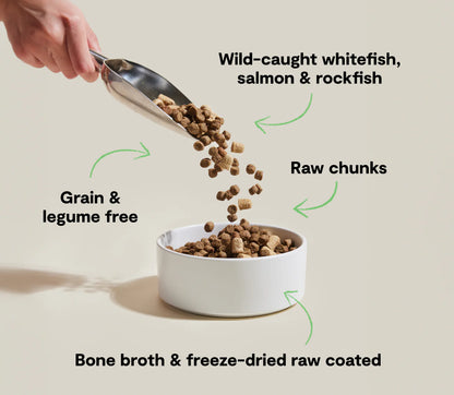 Rawmix Wild Ocean Grain-Free Dog Kibble