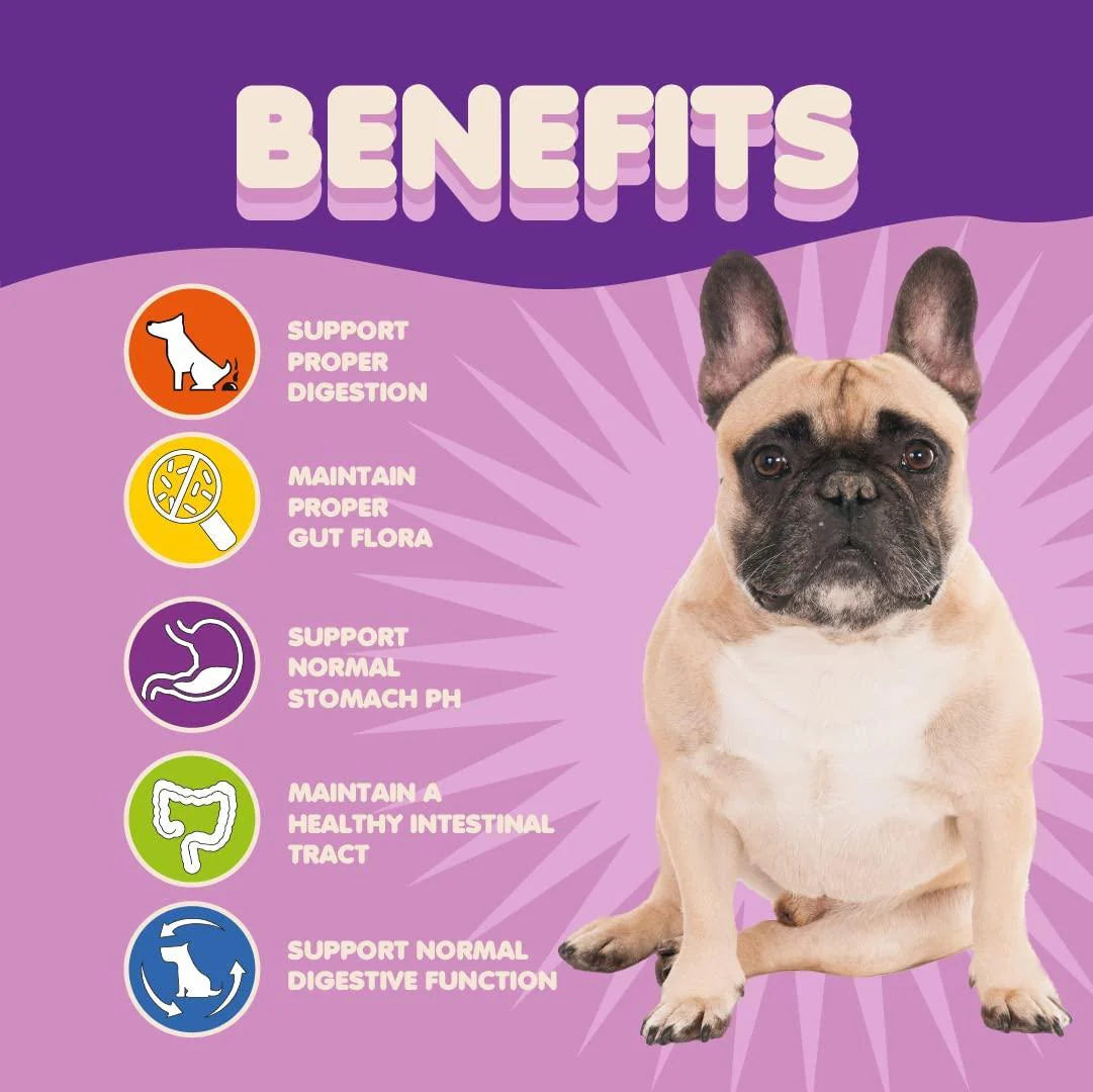 Probiotics for Dogs Puppies Extra Strength 9 Species 5 Billion CFU per Scoop Of