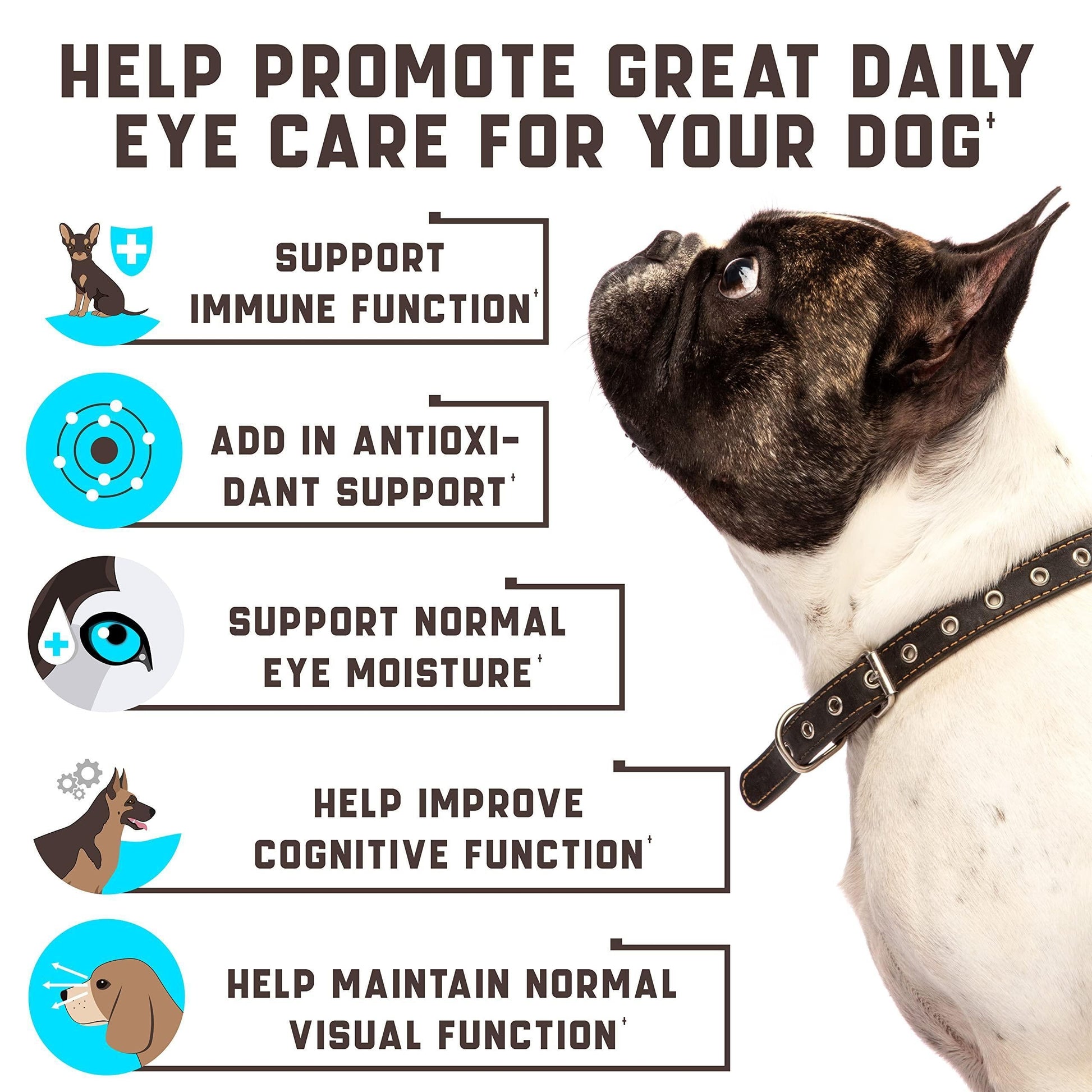 Eye Vitamins for Dogs Vision Supplement for Tear Stains Dog Eye Care Duck Flavor