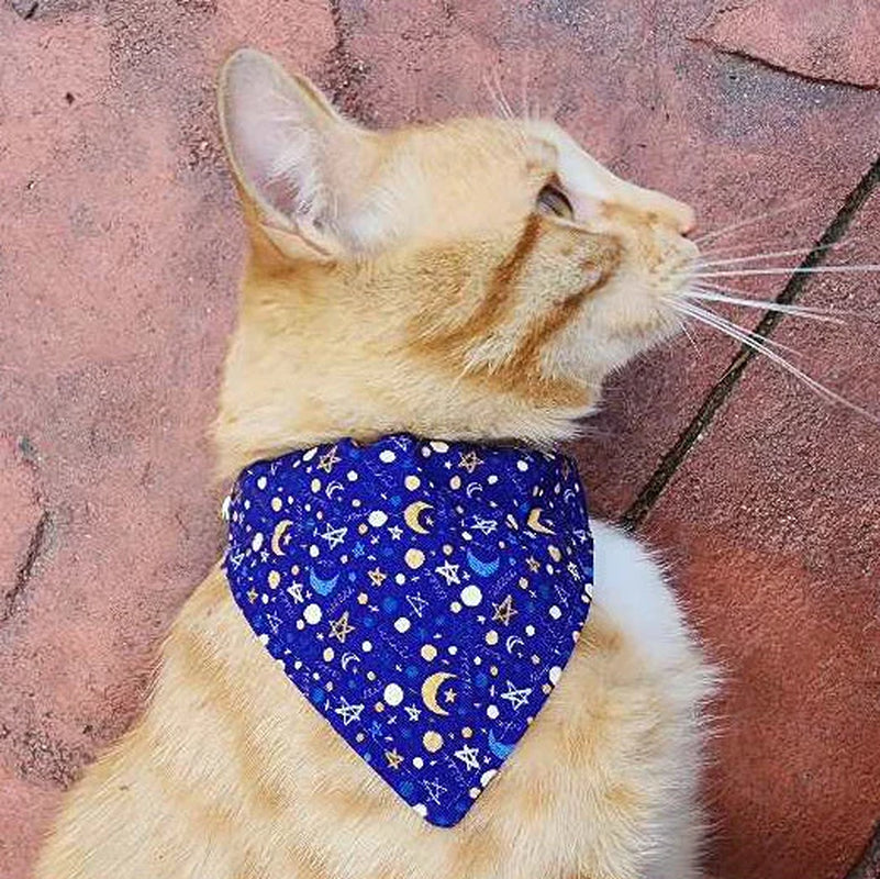 Breakaway Cat Collar with Bell, Moon Stars Cat Collar Breakaway, Small Collar - Mystery Twilight Midnight Moon Light | Cat Kitten Small Dog