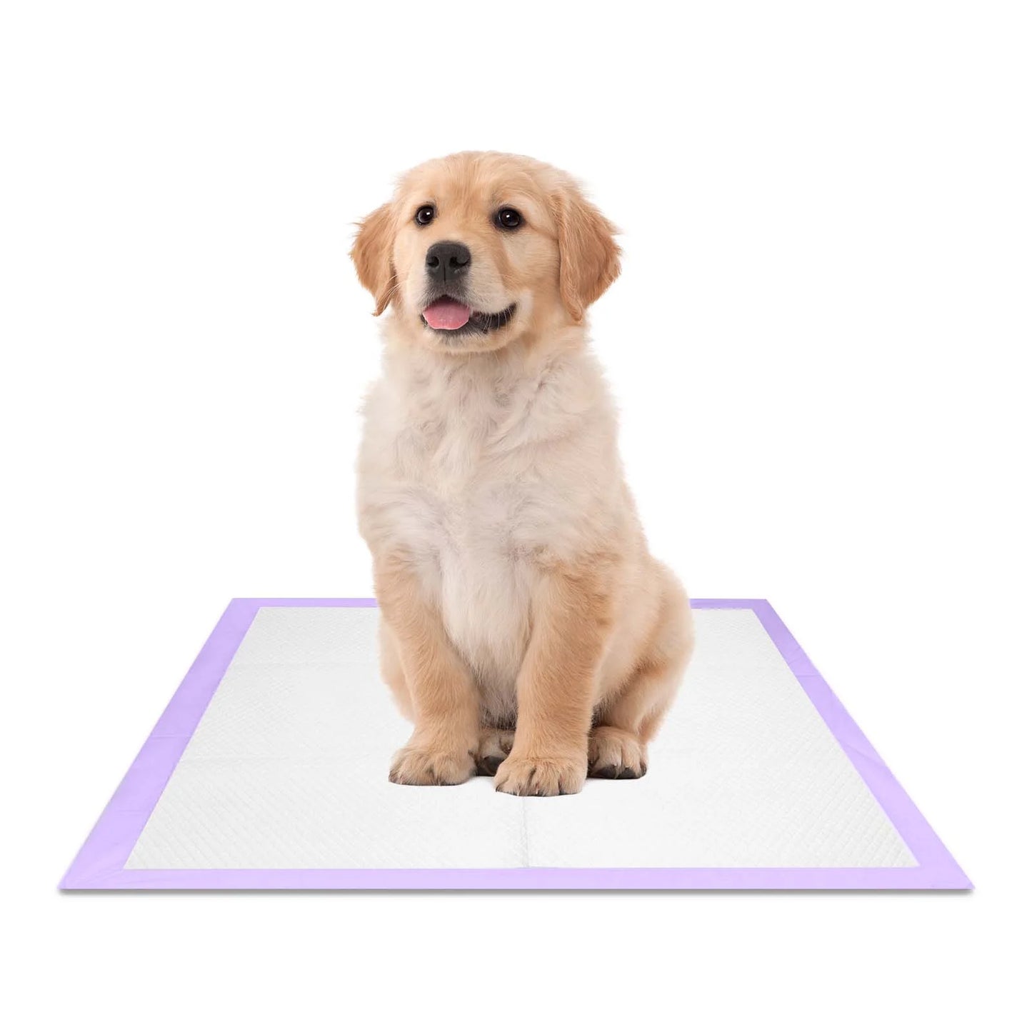 Dog Training Pads, Puppy Pads, Super Absorbent, Lavender Scent, 23 in X 24 In, 50 Count