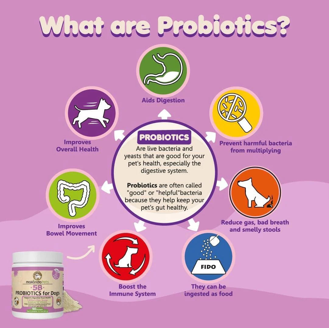 Probiotics for Dogs Puppies Extra Strength 9 Species 5 Billion CFU per Scoop Of