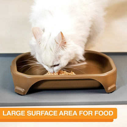 Big Bowl - Extra Large Bowl for Cats or Small Dogs - Large Surface Area (6 Cups Capacity, Champagne)