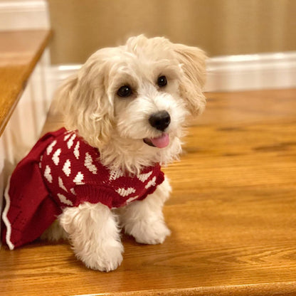 Small Dog Sweaters Girl Red Winter Warm Dog Christmas Dress Valentine'S Day Costume Clothes Dachshund Chihuahua Corgi (Red, XS)