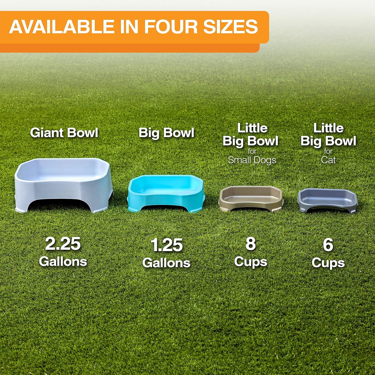 Big Bowl - Extra Large Bowl for Cats or Small Dogs - Large Surface Area (6 Cups Capacity, Champagne)