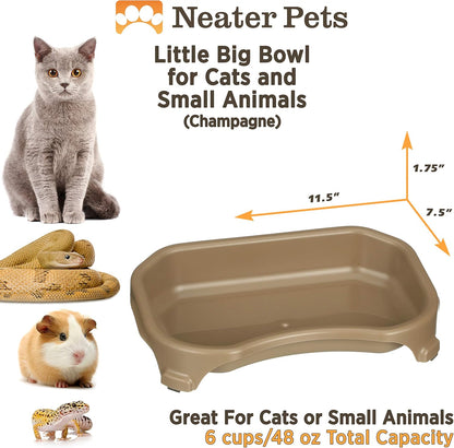 Big Bowl - Extra Large Bowl for Cats or Small Dogs - Large Surface Area (6 Cups Capacity, Champagne)