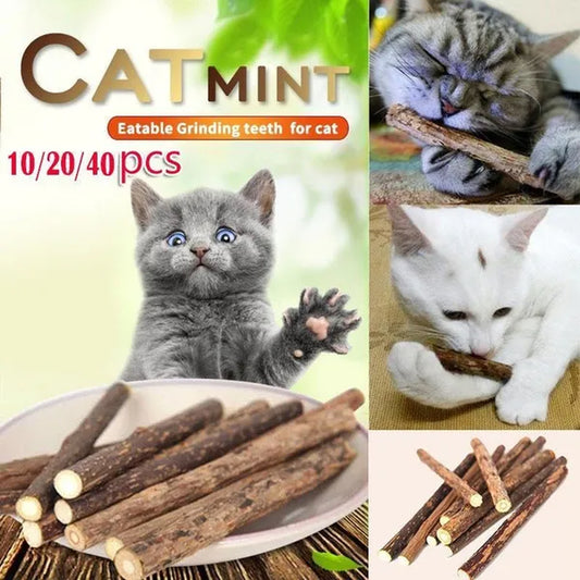 10Pc/20Pc/40Pc Natural Matatabi Pet Snack Cat Kitten Chew Stick Treat Toy Catnip Molar Food Cat Mint