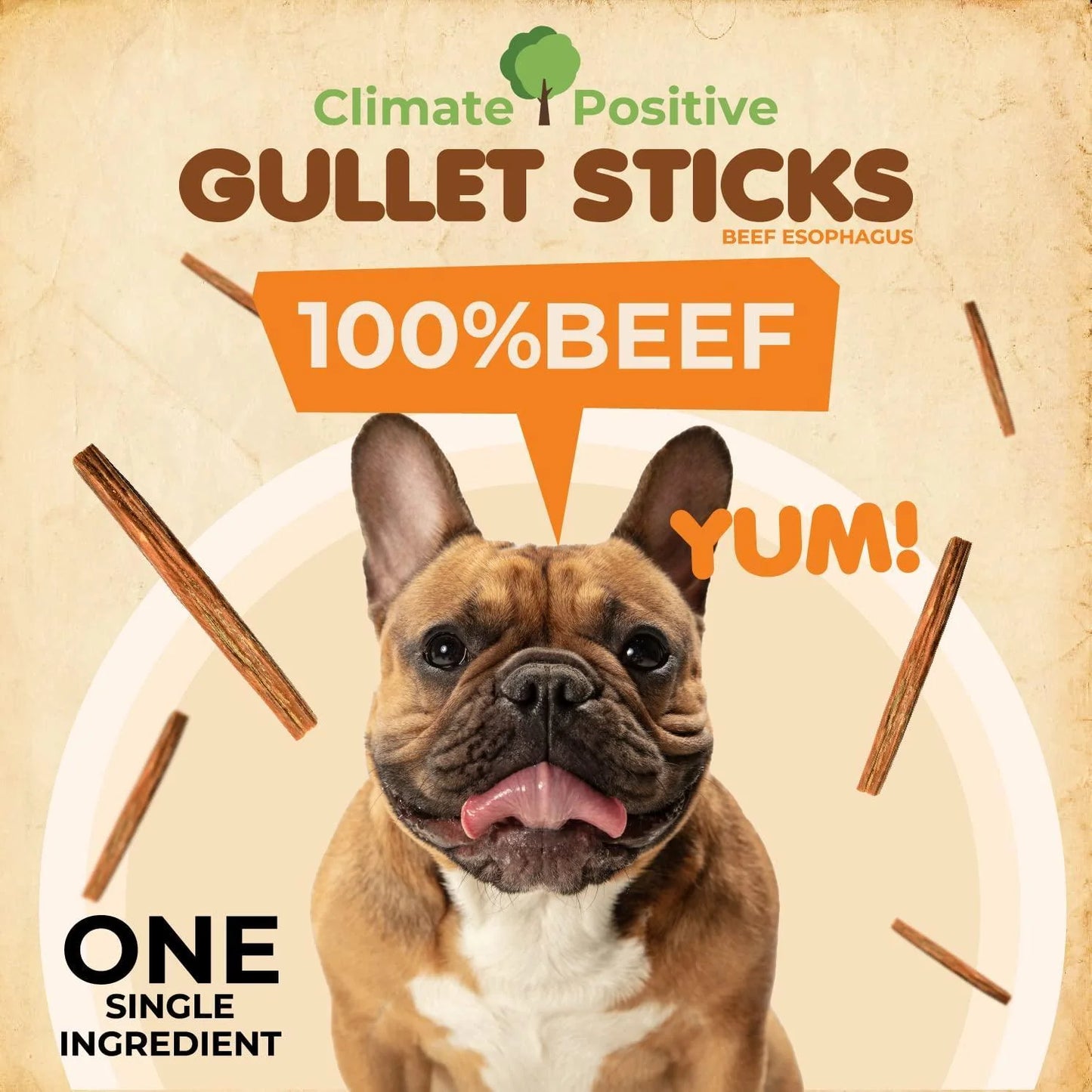 Gullet Sticks 100% Natural Beef Esophagus Dog Chews 6 in 24 Count Premium Dog