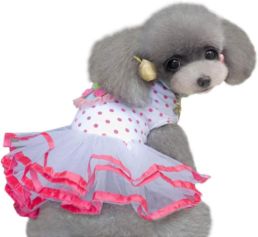 Pet Dress, Super Cute Dog Clothes Puppy Printed Lace Skirt Tutu Princess Dress (XS, White)