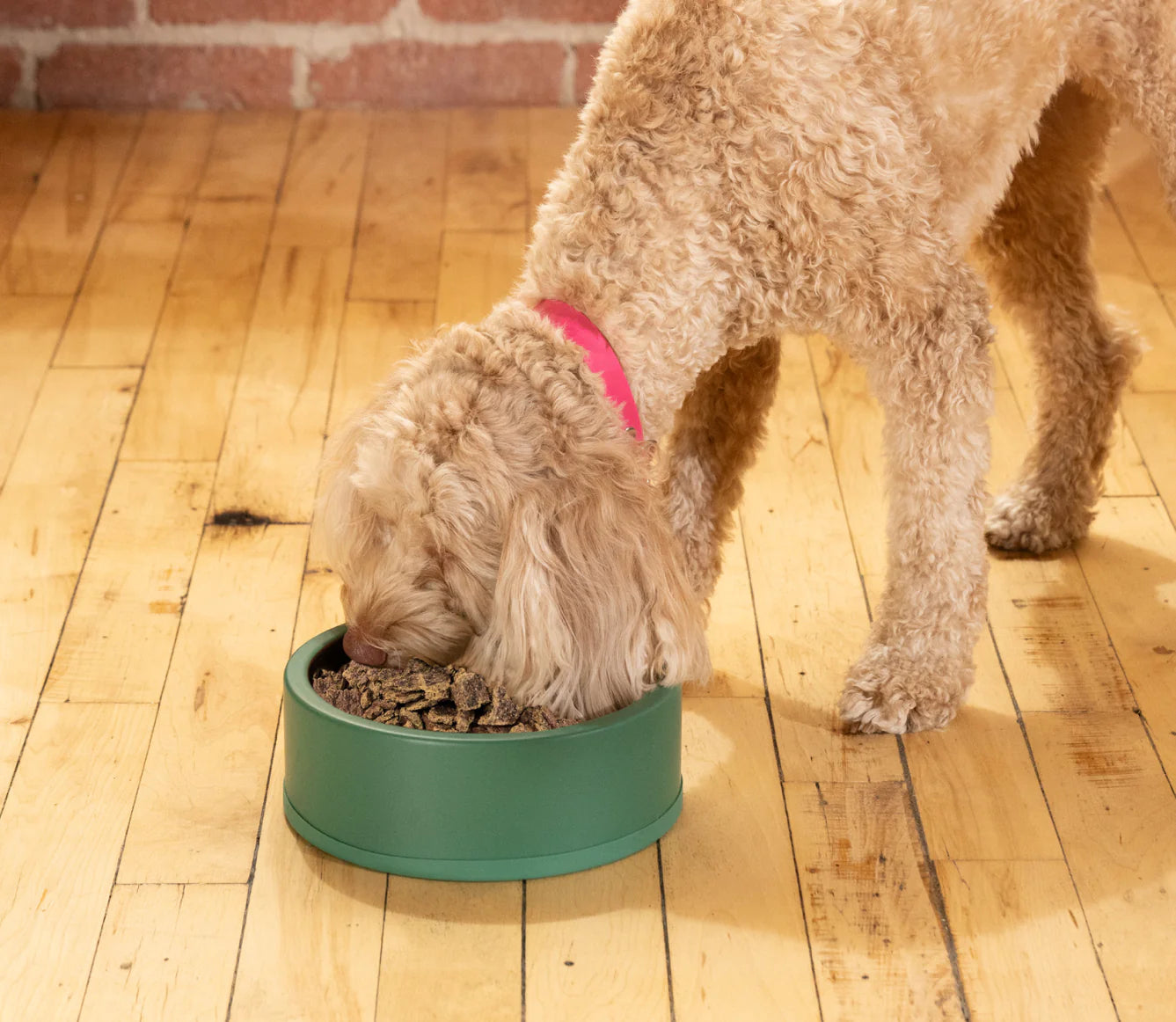 Pollock & Lamb Air Dried Recipe for Dogs