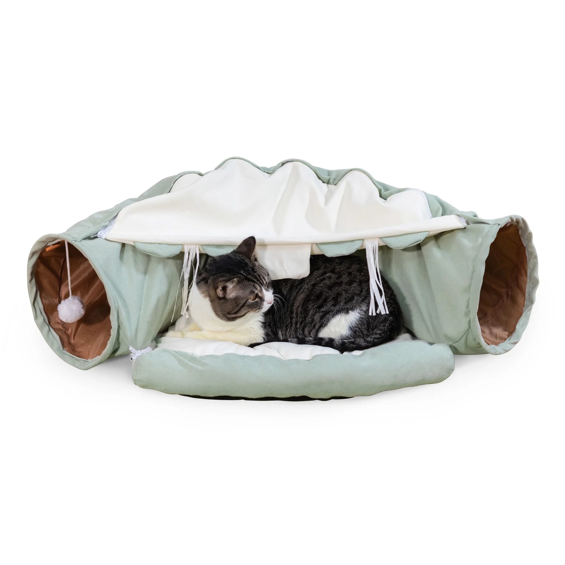 2-In-1 Cat Tunnel Tube Cat Tunnel Bed W/ Washable Bed Collapsible Kitty Toy, Green