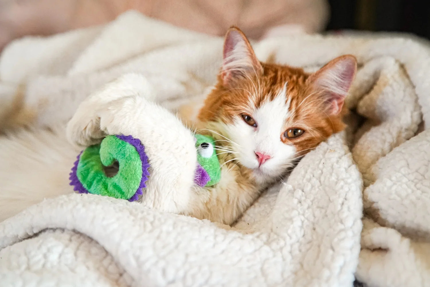 Chameleon Cat Toy with Catnip