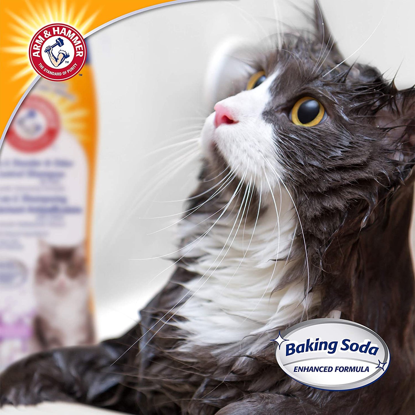 2-In-1 Deodorizing & Dander Reducing Shampoo for Cats, Dander Remover for Dander and Odors, Baking Soda Moisturizes and Deodorizes, Lavender Chamomile Scent, 20 Fl Oz (Pack of 1)