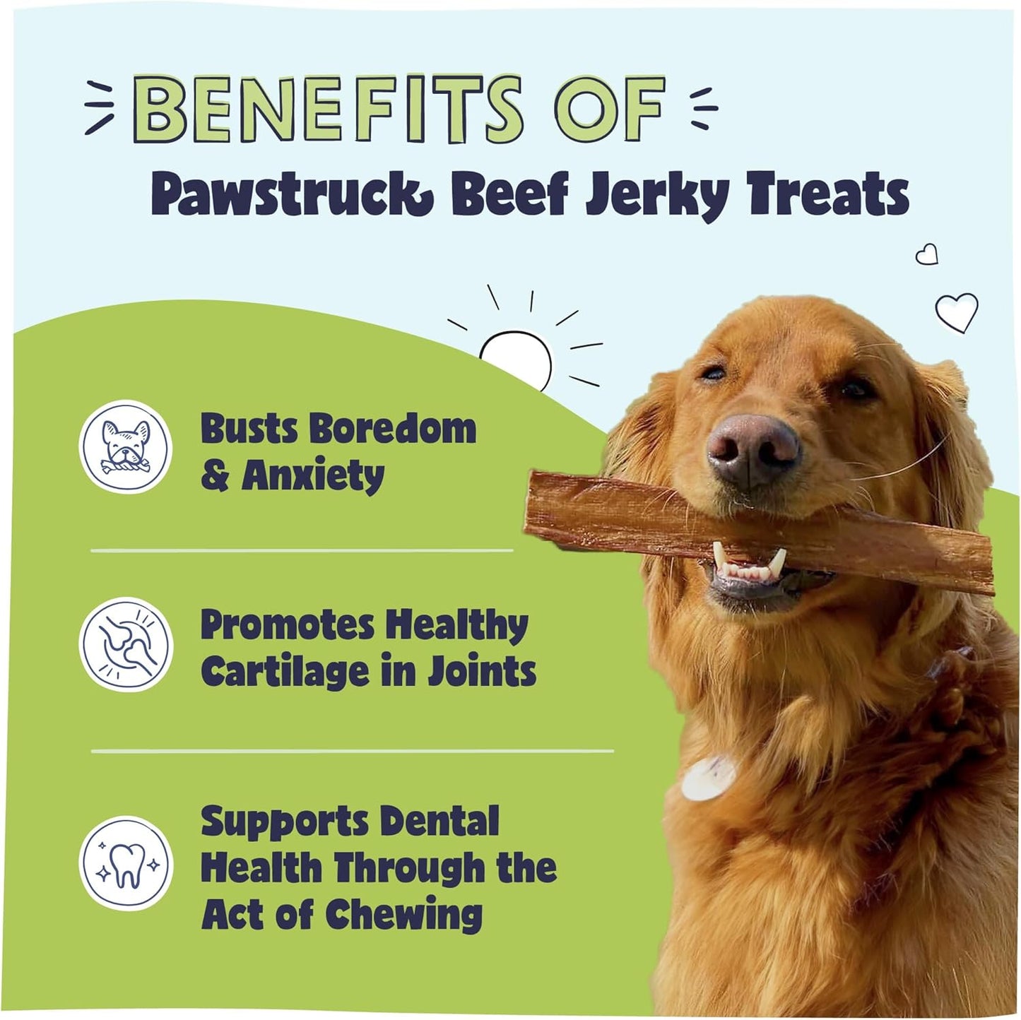 Premium Beef Jerky Dog Treat Chews, Large 10" Strips – Supports Hip & Joint Health, Rich in Glucosamine & Chondroitin, No Added Preservatives – 15 Count