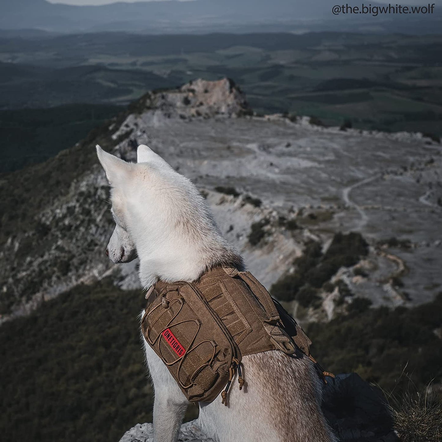 Dog Backpack for Medium & Large Dogs, Nylon Backpack for Dogs Tactical Pet Backpack with Side Pockets for Hiking Walking Training Running (Brown, Medium)