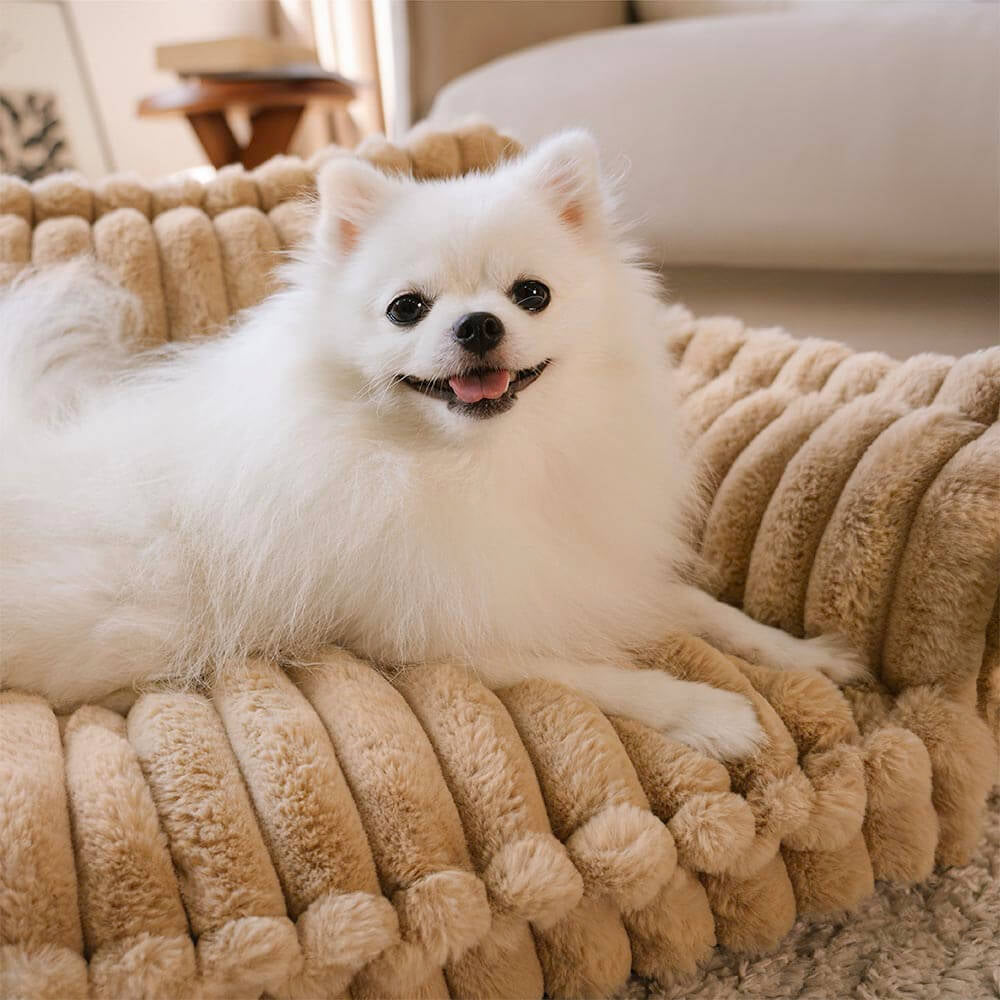 Large Washable Fluffy Orthopedic Soft Dog Pillow Dog Sofa Bed-Snoozy Dream