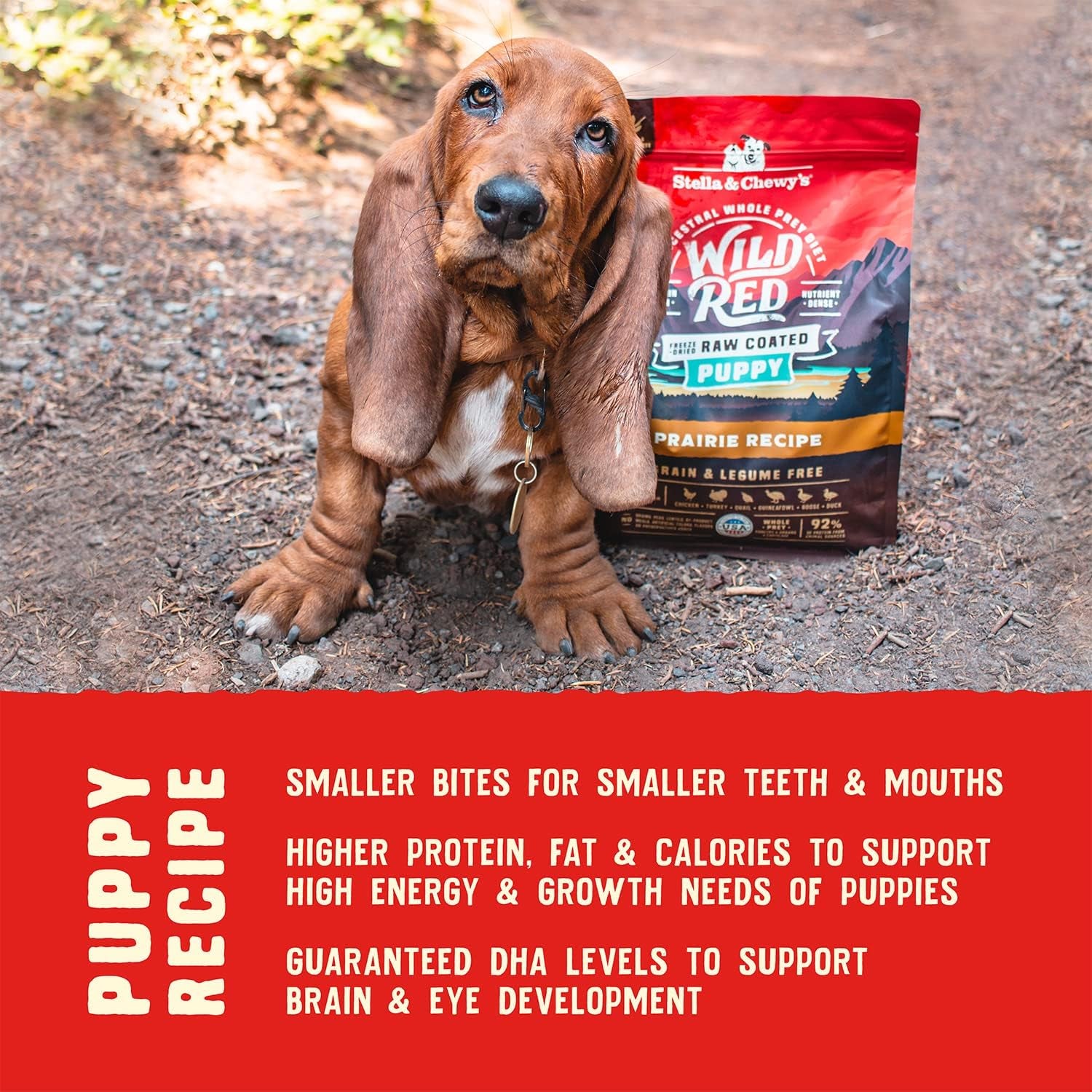 Wild Red Dry Dog Food Raw Coated High Protein Grain & Legume Free Puppy Prairie Recipe, 3.5 Lb. Bag