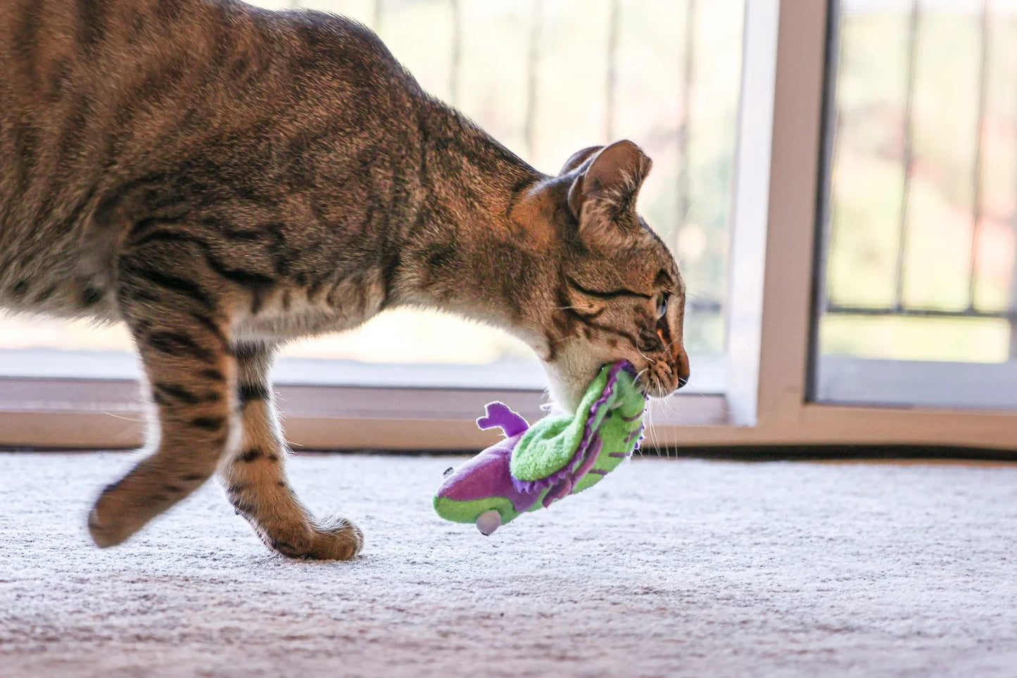 Chameleon Cat Toy with Catnip