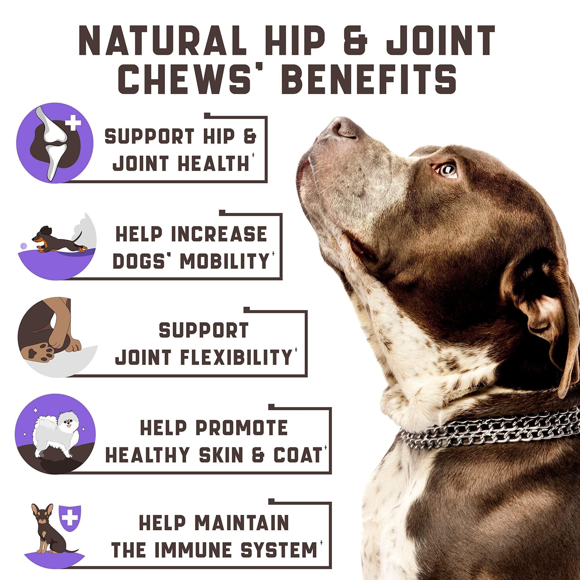 Glucosamine for Dogs Functional Dog Joint Supplement with Chondroitin Msm Hemp