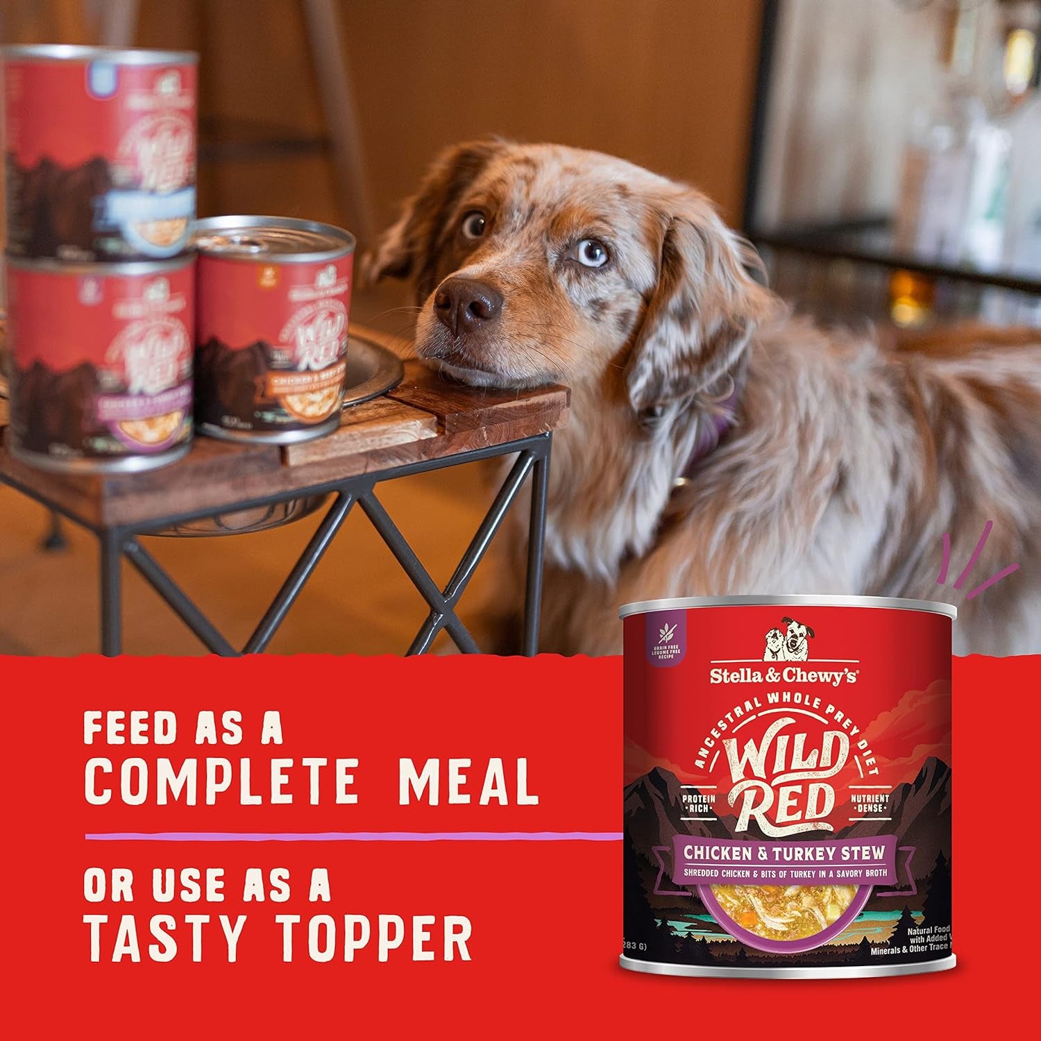 Wild Red Wet Dog Food Chicken & Turkey Stew High Protein Recipe, 10 Ounce (Pack of 6)